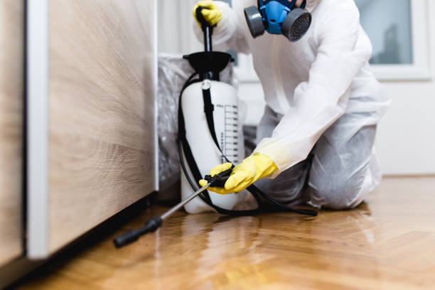 Professional Pest Control in Midway, NC