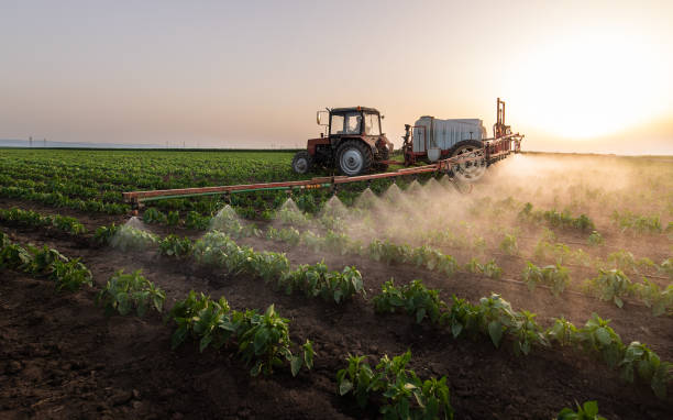 Best Mosquito Control Services  in Midway, NC