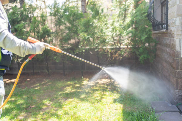 Best Termite Control Services  in Midway, NC